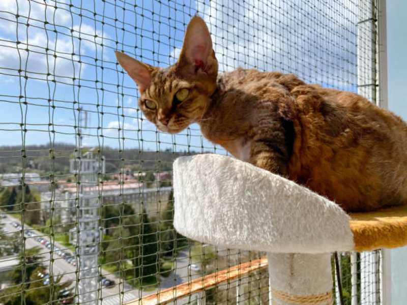 Instalação de Rede de Proteção para Animais de Estimação São Domingos - Rede de Proteção Removível para Gatos