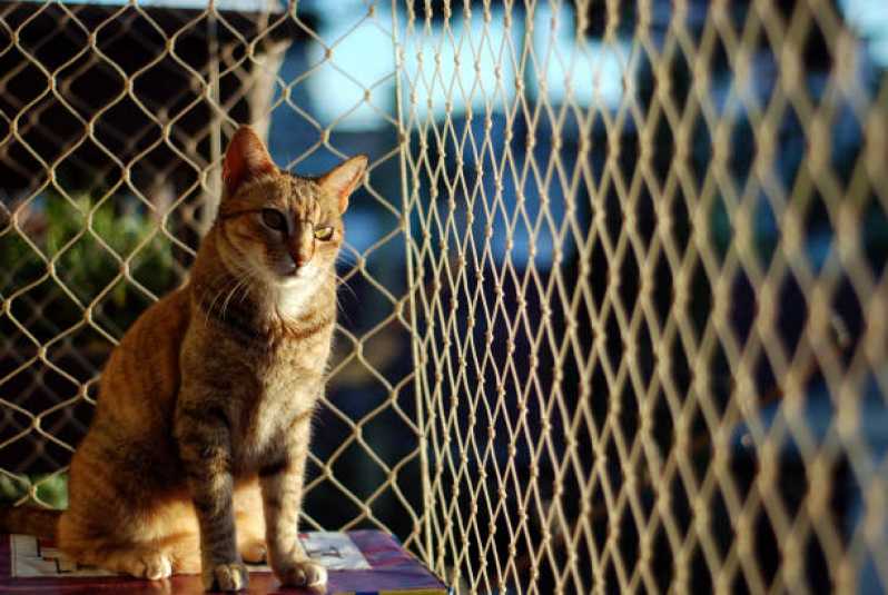 Instalação de Rede de Proteção para Gatos Jardins - Rede de Proteção Removível para Gatos