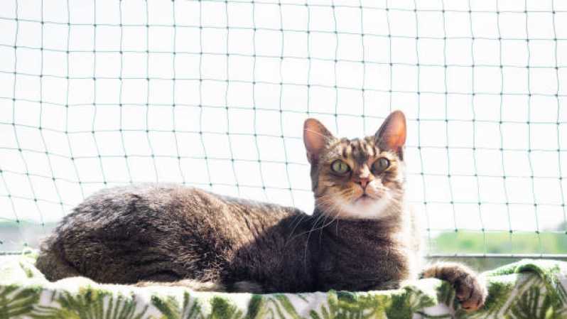 Instalação de Rede de Proteção Pet Tremembé - Rede para Proteção de Gatos