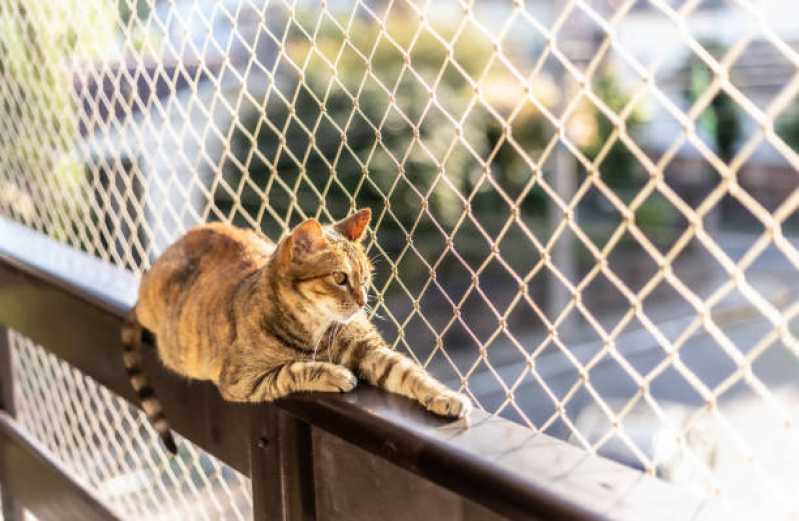 Instalação de Rede de Proteção Removível para Gatos Raposo Tavares - Rede de Proteção Removível para Gatos