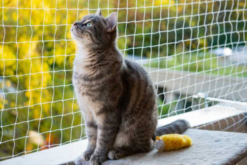 Instalação de Rede para Proteção de Gatos Sacomã - Rede de Proteção para Animais de Estimação