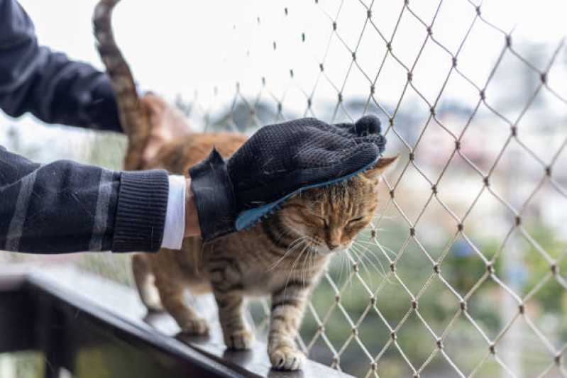 Instalação de Rede Protetora de Animais Aclimação - Rede de Proteção Removível para Gatos