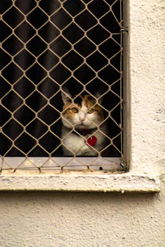 Rede de Proteção Animais Jandira - Rede para Proteção de Gatos