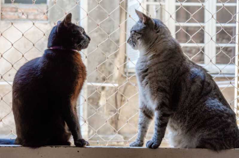 Rede de Proteção Cachorro Santana de Parnaíba - Rede de Proteção Removível para Gatos