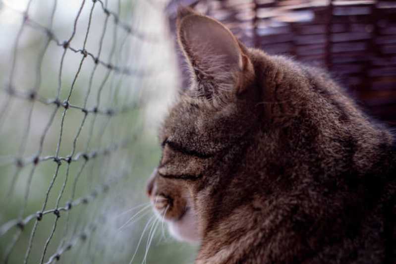 Rede de Proteção para Animais de Estimação Orçamento Liberdade - Rede para Proteção de Gatos