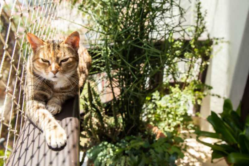 Rede de Proteção para Gatos Orçamento Ibirapuera - Rede de Proteção Removível para Gatos