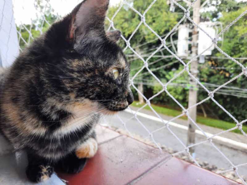 Rede de Proteção Pet Orçamento Jandira - Rede para Proteção de Gatos