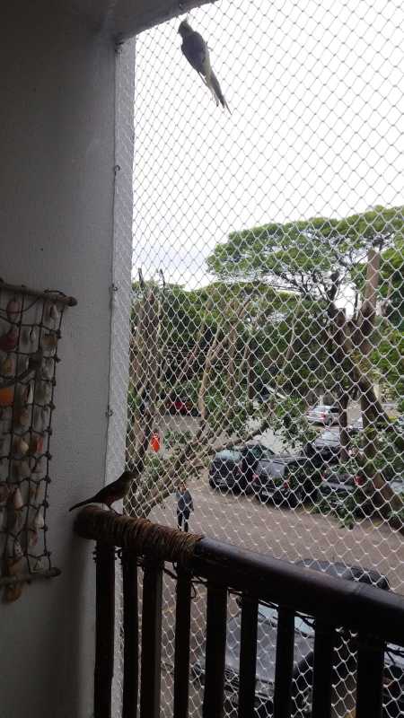 Rede para Proteção de Apartamento Instalação Vila Campesina - Rede de Proteção de Cachorro