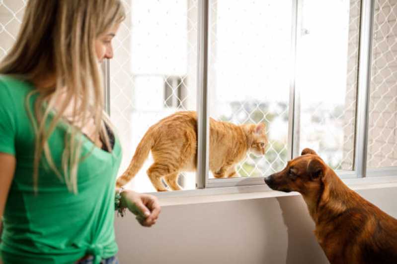 Rede Proteção Animal Orçamento Bandeiras - Rede de Proteção para Gatos