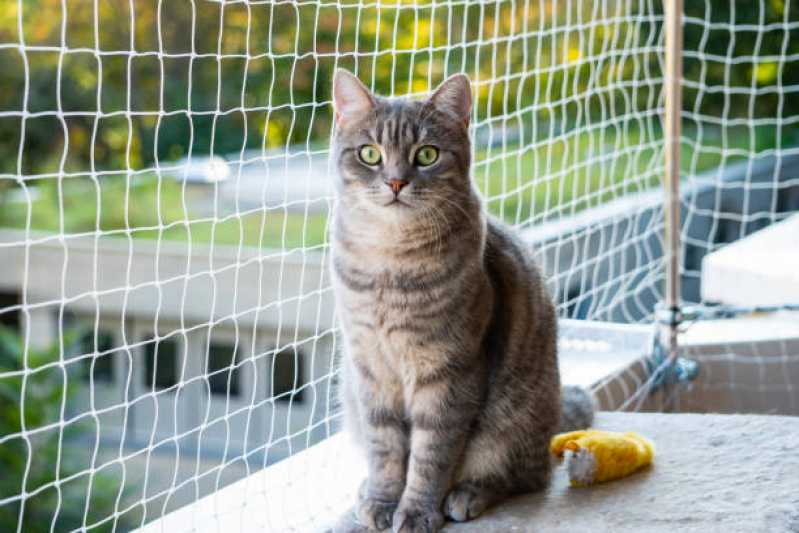 Rede Protetora de Animais Bexiga - Rede de Proteção para Gatos