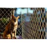 instalação de rede de proteção para gatos Alto de Pinheiros