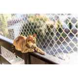 instalação de rede de proteção removível para gatos Raposo Tavares