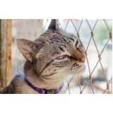 rede de proteção removível para gatos São Lourenço da Serra